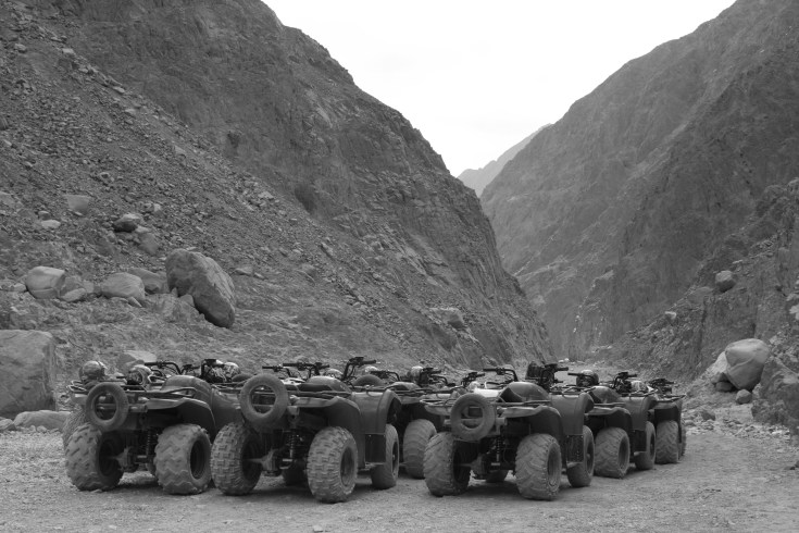 20071122-IMG_2491-Eqypt Longwood